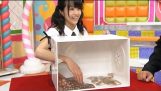 Японський gameshow – Що знаходиться в коробці?