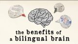 La ventaja de ser un políglota