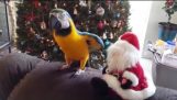 Papegoja attacker Santa