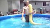 natación de la serpiente