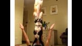 Two dogs perform unbelievable balancing trick