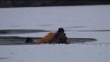 얼어 붙은 호수에서 개를 구출