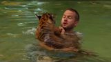 Tiger Cubs Plavání poprvé – Tigers o domě – BBC