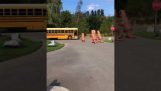 T-Rex семья ждет школьный автобус