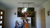 Телевизор с потолка