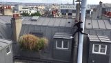 פארקור על הגגות של פריז