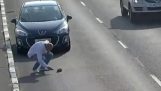 Automobilist redt een autosnelweg kitten