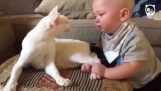 The cat takes care of the baby