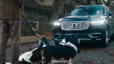 Reklama za zabavan Volvoa