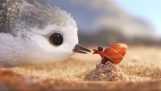 de păsări marine (Pixar)