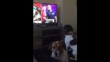 Hond nummer Championship Darts op tv