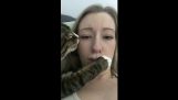 Котката иска някои целувки