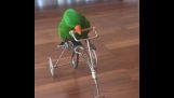 Un pappagallo facendo bici