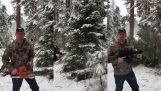 Bir Amerikalı Noel ağacı kesmek