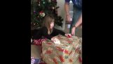 Vianočné Darčekové útek