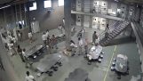 囚犯在監獄中芝加哥之間的戰鬥