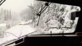 Trem atinge as árvores caídas após nevasca