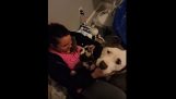 Un cane si fida piccolo della donna che ha salvato