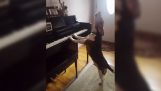 The dog plays the piano and sings