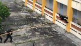 Policja w Wietnamie wspinaczki budynku przy użyciu słup