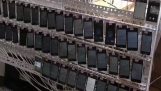 10.000 mobile phones on a click farm in China