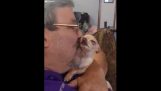 Die Chihuahua will mehr Küsse