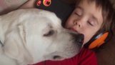 כלב משנה את חייו של ילד עם אוטיזם