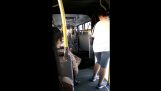 אוטובוס-מפוחית ​​חצויה