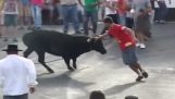 Bulls punish people