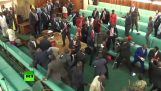 Drewno i chaos w parlamencie Ugandy