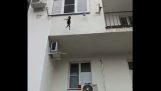आदमी एक बिल्ली है कि एक महान ऊंचाई से गिरता है बचाता है