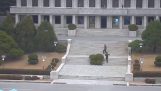 Deserteur naar Noord-Korea probeert om de grens over te steken