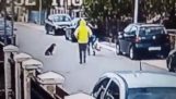 Бездомно куче спасява жена от крадец