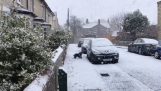 Een hond werd voor het eerst sneeuw gezien