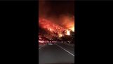 Rijden in Californië tijdens brand