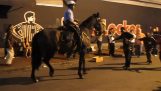 En politimann danser med hesten sin i New Orleans