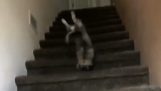 Unfall auf der Treppe