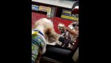 Quarrel between two dogs on the go