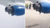 Flugzeugmotor während des Fluges gelöst