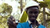 Mies, joka rakensi oman voimalaitoksen Keniassa