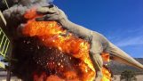 Ingeniør tyranosafros tager ild