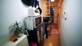 Wonen in een appartement 8 vierkante Tokyo
