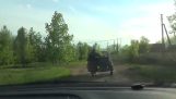 Poliser jaga trehjuling cykel i skogen (Ryssland)