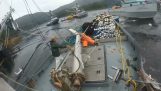 Αλιευτικά σκάφη σε πόλεμο