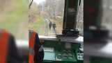 Juna pelottaa kaksi tyttöä kävely kiskoilla