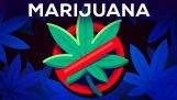 Три аргументи проти легалізації марихуани