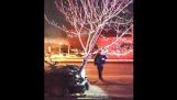 Dronken bestuurder beweegt met een boom genageld op de motorkap van de auto