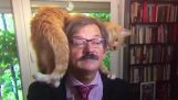 The cat of an academic steals the show during an interview