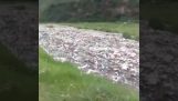 Um rio de lixo na Índia