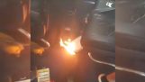 Un banco de potencia toma fuego en el avión de Ryanair (Barcelona)